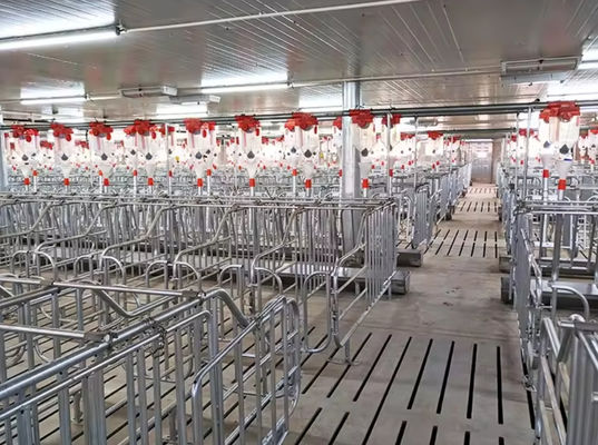 Réglage de sol en fibre de verre à haute résistance Réglage moulé en FRP pour porcs poulets moutons