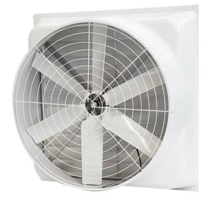 Ventilateur à pression négative FRP mural Ventilateur de toit Ventilateur d'échappement en fibre de verre
